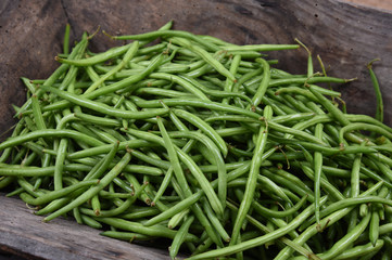 green bean