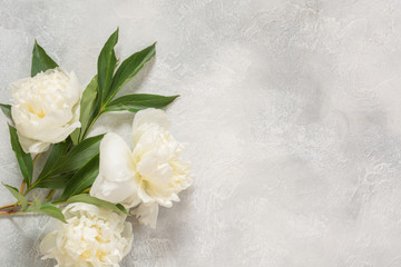 Obraz na płótnie Canvas Bouquet of white peony flowers on vintage table. Copy space.