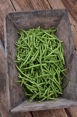 green bean
