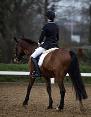 Horseback riding, lovely equestrian -  girl is riding a horse