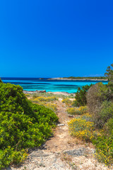 Footpath to the Coast of Menorca Island
