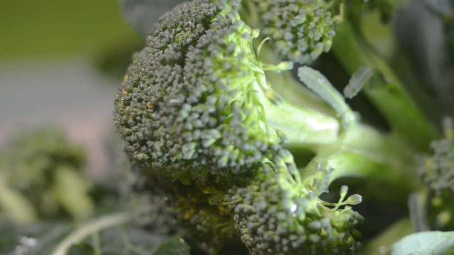Broccoli close up shot and texture detail..Selective focus