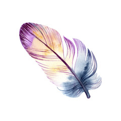 Watercolor feather on white background. It can be used for card, postcard, cover, invitation, wedding card, mothers day card, birthday card, poster, print