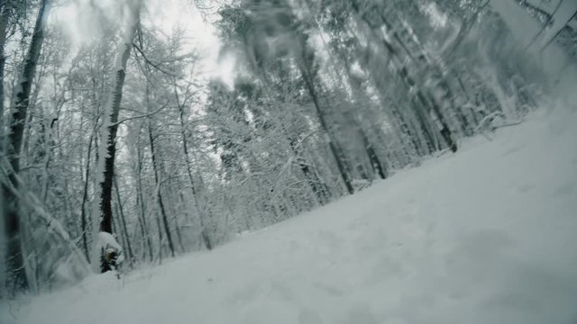 Evil spirit, beast, animal moving across winter forest, above the ground. POV