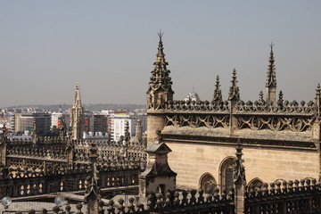 Fragment of the Cathedral in Seville