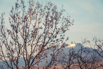 View towards Leopoldsberg over the vineyards in Nussdorf during winter