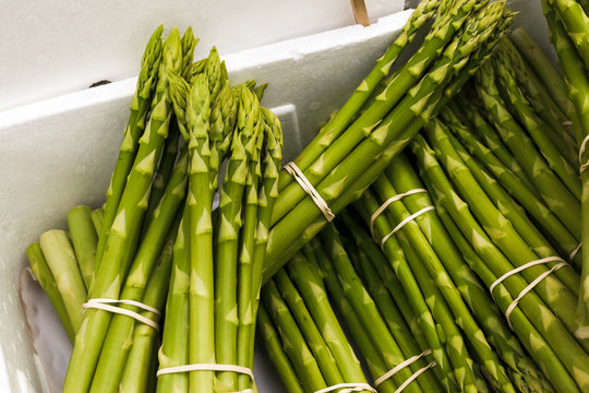 Asparagus for Sale in a Bundle