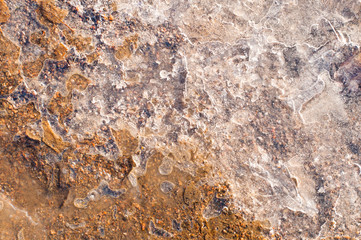 Detailed background texture of fresh thin ice