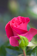 When they arrive in your life positive, consecutive, incessant events, do not thank destiny but rather find out who it comes from, because God is certainly behind all that. Above all, when you know ho