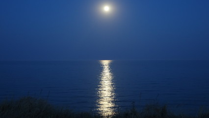 Fototapeta premium moonlight