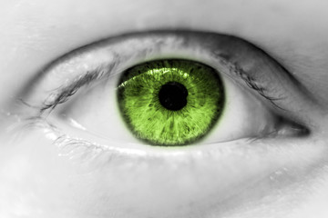 human green  eye macro