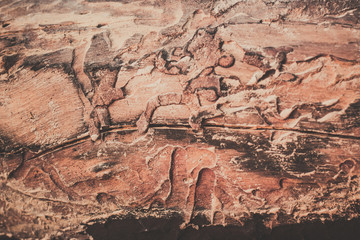 old wood background