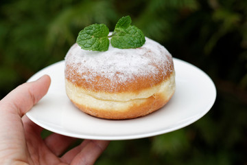 Doughnut - Krapfen - Berliner in a white plate, close-up
