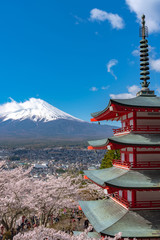 Mount Fuji viewed from behind Chureito Pagoda in full bloom cherry blossoms springtime sunny day in clear blue sky natural background. Arakurayama Sengen Park, Fujiyoshida, Yamanashi Prefecture, Japan