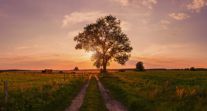 XXL Panorama Landleben Feldweg romantisches Gegenlicht, abends, Abendlicht, Heide, Heidelandschaft, Sp&auml;tsommer, weites Land, Sommerabend, Landlust, stille, abschied, sommerende, ende des sommers