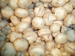 a bunch of fresh mushrooms mushrooms