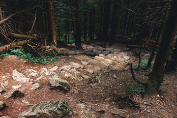 Stone trail in the Tatras national park