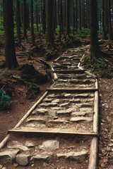 Stone trail in the Tatras national park