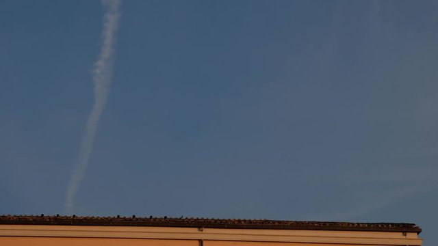 Roma (Patrimonio de la Humanidad). SPQR. Ciudad Eterna. P&aacute;jaros sobre el tejado. Lazio, Italia, Europa.