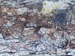 wood background, vintage white planks peeling, ruined, aged