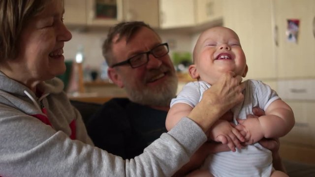 Mature woman tickles baby. A child laughs showing his white milk teeth. Grandpa and Grandma Nurse Grandson