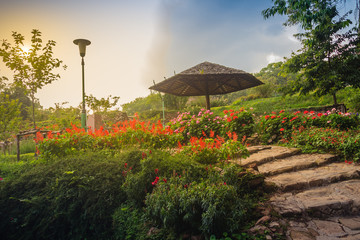 Beautiful landscape view with red flowering on the stone stairway to the wooden umbrella on a...