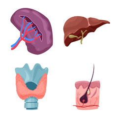 Vector design of body and human symbol. Collection of body and medical stock vector illustration.