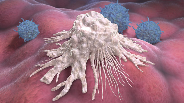 Dendritische Zelle und Lymphozyten auf Zelloberfl&auml;che