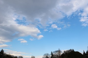風景　冬の午後　茨城