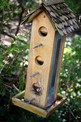 Birdhouse in the garden