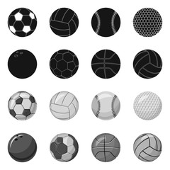 Isolated object of sport and ball symbol. Set of sport and athletic stock symbol for web.