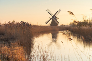 Tranditional, Dutch windmill in a wetland full of reed. Groningen, Holland.