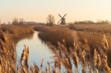 Tranditional, Dutch windmill in a wetland full of reed. Groningen, Holland.