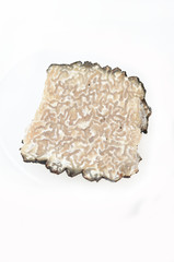truffle 