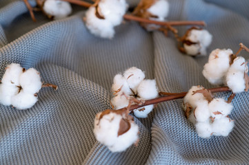 Fototapeta na wymiar Delicate cotton flowers textile clothes. Organic cotton clothing idea