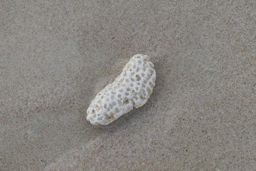 Coral beach