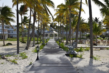Exotic beach