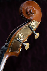 Double Bass detail
