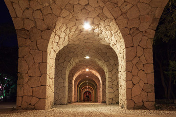 Pathway in the mexican jungle of Yucatan at night