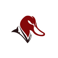 duck head mascot logo designs