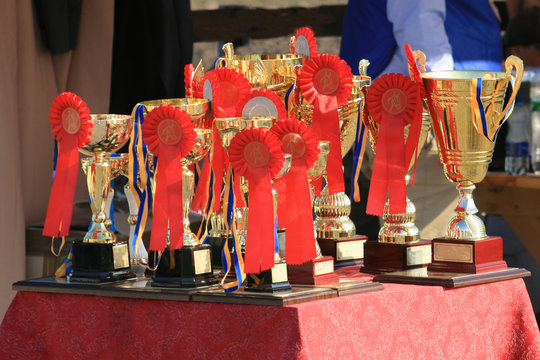 Cup of horses endurance on the table with red rosettes