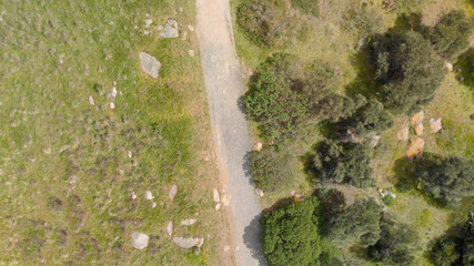 Overhead view of beautoful road across meadows
