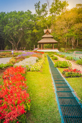 Colorful landscape view of flower garden and northern Thai's style wooden pavilion at Bhubing palace, Chiang Mai, Thailand.