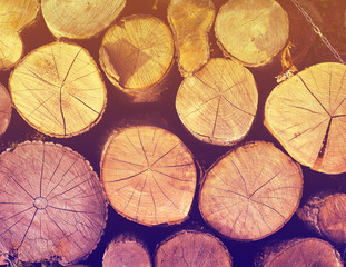 Fototapeta premium wooden logs. firewoods folded together. Top view.