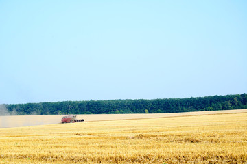 Fototapeta premium Harvester machine working to harvest wheat field . Combine harvester agriculture machine harvesting golden ripe wheat field. Agriculture