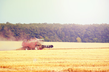 Harvester machine working to harvest wheat field . Combine harvester agriculture machine harvesting...
