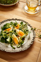 Spring and Easter breakfast with eggs and cress sprouts with tea and sprouts on wooden background