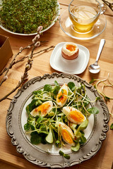 Spring and Easter breakfast with eggs and cress sprouts with tea and sprouts on wooden background