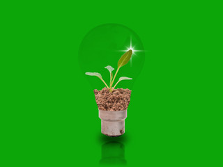 Fototapeta na wymiar Small sapling in two tubes on a green background with energy-saving concepts to protect the environment.