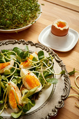 Spring and Easter breakfast with boiled eggs and cress sprouts with sprouts on wooden background